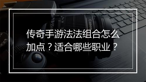 传奇手游法法组合怎么加点？适合哪些职业？