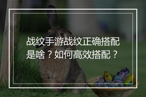 战纹手游战纹正确搭配是啥？如何高效搭配？