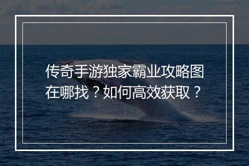 传奇手游独家霸业攻略图在哪找？如何高效获取？