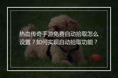 热血传奇手游免费自动拾取怎么设置？如何实现自动拾取功能？