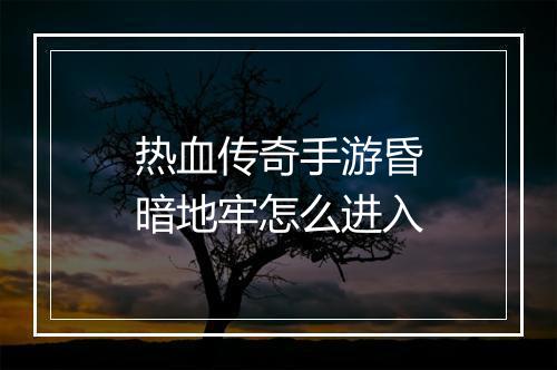 热血传奇手游昏暗地牢怎么进入