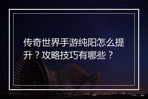 传奇世界手游纯阳怎么提升？攻略技巧有哪些？