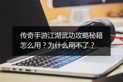 传奇手游江湖武功攻略秘籍怎么用？为什么用不了？