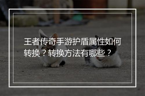 王者传奇手游护盾属性如何转换？转换方法有哪些？