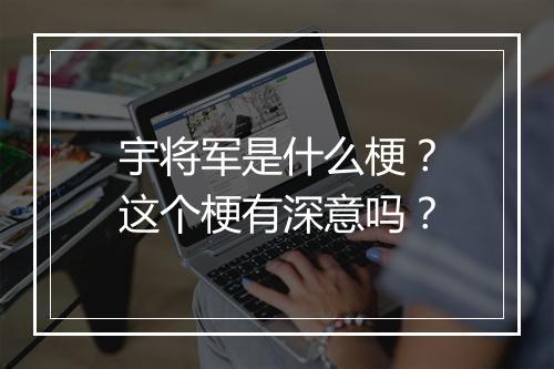宇将军是什么梗？这个梗有深意吗？