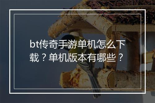bt传奇手游单机怎么下载？单机版本有哪些？