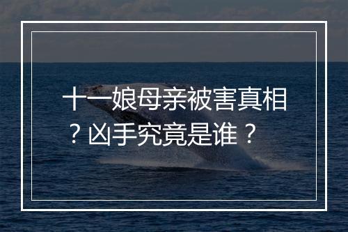 十一娘母亲被害真相？凶手究竟是谁？