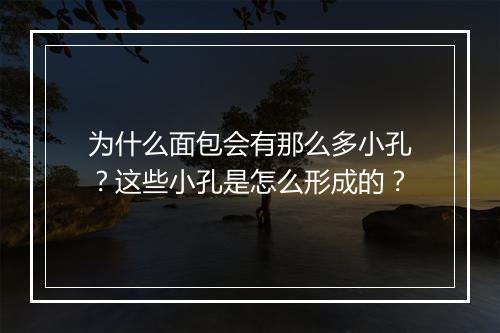 为什么面包会有那么多小孔？这些小孔是怎么形成的？