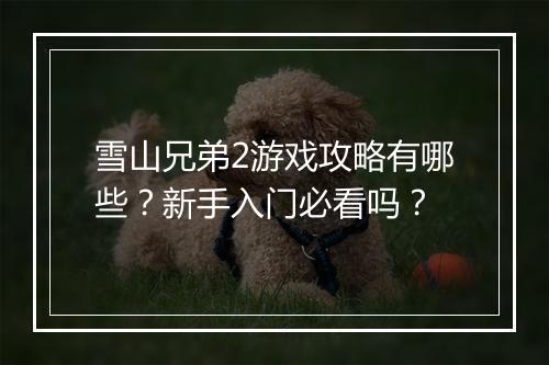 雪山兄弟2游戏攻略有哪些？新手入门必看吗？