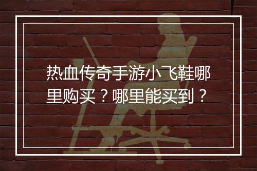 热血传奇手游小飞鞋哪里购买？哪里能买到？
