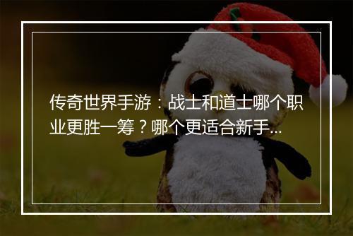 传奇世界手游：战士和道士哪个职业更胜一筹？哪个更适合新手？