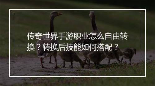 传奇世界手游职业怎么自由转换？转换后技能如何搭配？