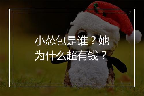 小怂包是谁？她为什么超有钱？