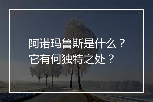 阿诺玛鲁斯是什么？它有何独特之处？