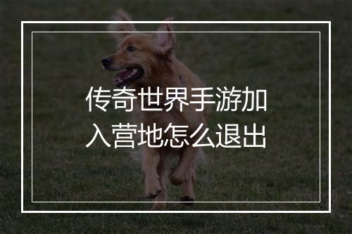 传奇世界手游加入营地怎么退出