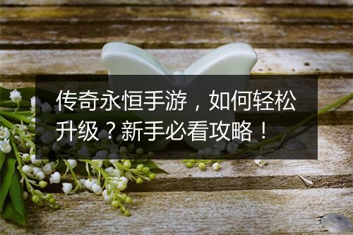 传奇永恒手游，如何轻松升级？新手必看攻略！