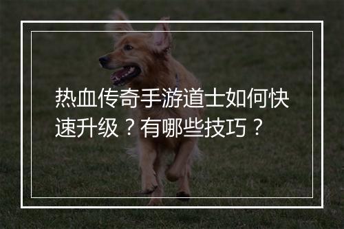 热血传奇手游道士如何快速升级？有哪些技巧？
