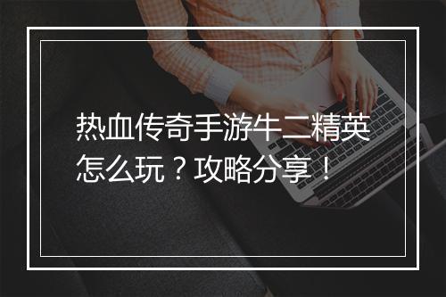 热血传奇手游牛二精英怎么玩？攻略分享！