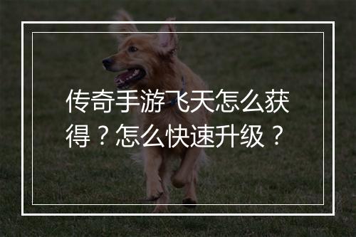 传奇手游飞天怎么获得？怎么快速升级？