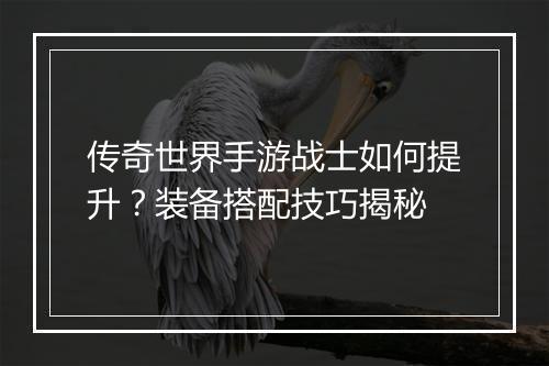 传奇世界手游战士如何提升？装备搭配技巧揭秘