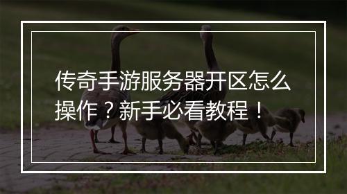 传奇手游服务器开区怎么操作？新手必看教程！