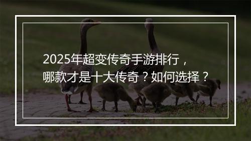 2025年超变传奇手游排行，哪款才是十大传奇？如何选择？