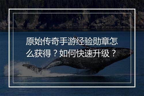 原始传奇手游经验勋章怎么获得？如何快速升级？
