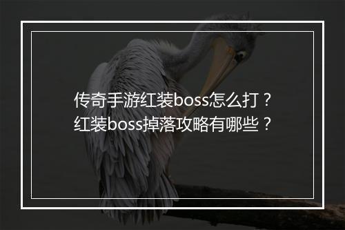 传奇手游红装boss怎么打？红装boss掉落攻略有哪些？