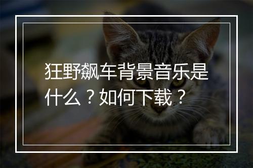 狂野飙车背景音乐是什么？如何下载？