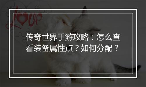 传奇世界手游攻略：怎么查看装备属性点？如何分配？