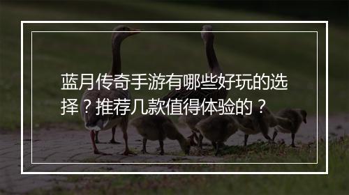 蓝月传奇手游有哪些好玩的选择？推荐几款值得体验的？
