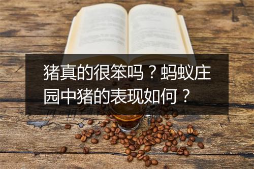 猪真的很笨吗？蚂蚁庄园中猪的表现如何？