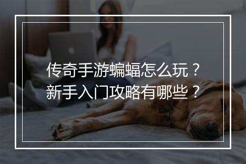 传奇手游蝙蝠怎么玩？新手入门攻略有哪些？