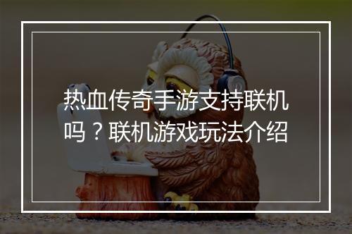 热血传奇手游支持联机吗？联机游戏玩法介绍