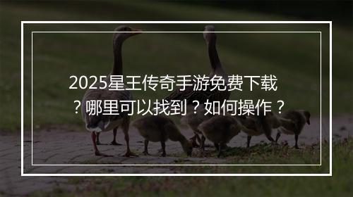 2025星王传奇手游免费下载？哪里可以找到？如何操作？