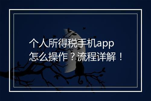个人所得税手机app怎么操作？流程详解！