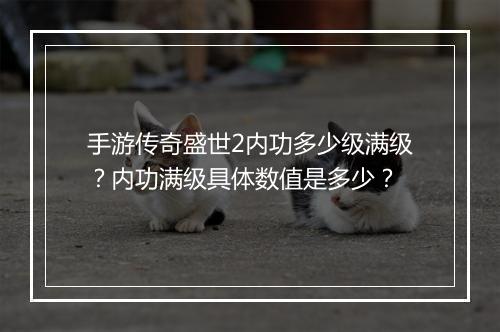 手游传奇盛世2内功多少级满级？内功满级具体数值是多少？