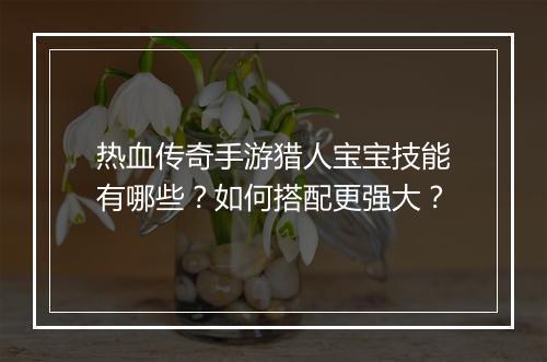 热血传奇手游猎人宝宝技能有哪些？如何搭配更强大？