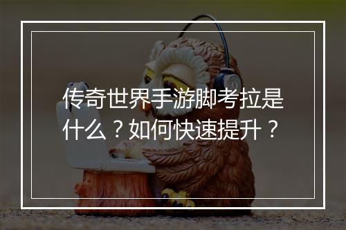 传奇世界手游脚考拉是什么？如何快速提升？