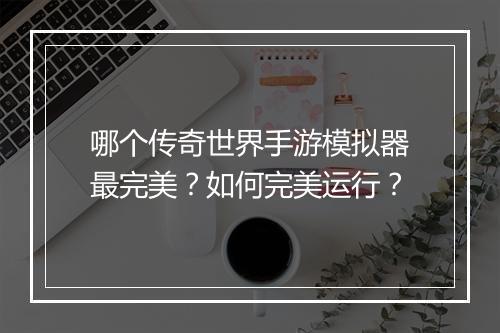 哪个传奇世界手游模拟器最完美？如何完美运行？