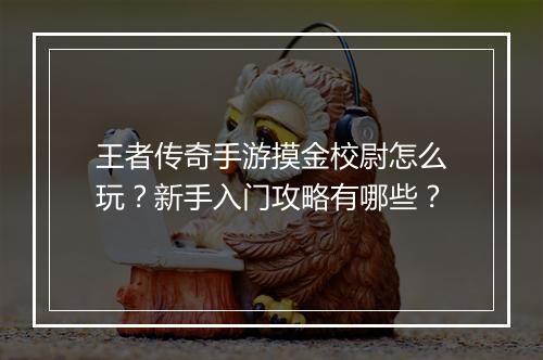 王者传奇手游摸金校尉怎么玩？新手入门攻略有哪些？