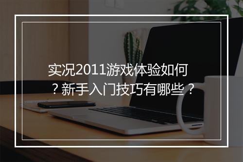 实况2011游戏体验如何？新手入门技巧有哪些？
