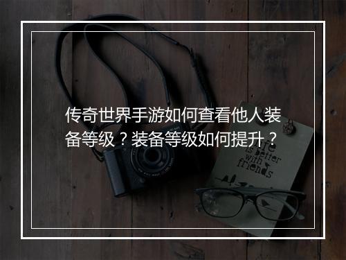 传奇世界手游如何查看他人装备等级？装备等级如何提升？