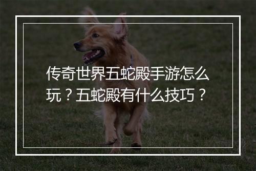传奇世界五蛇殿手游怎么玩？五蛇殿有什么技巧？