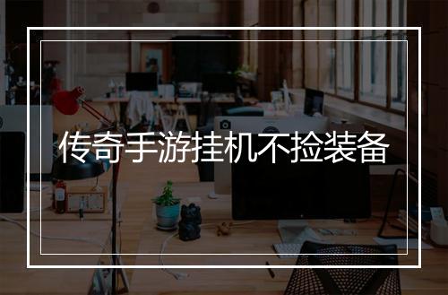 传奇手游挂机不捡装备