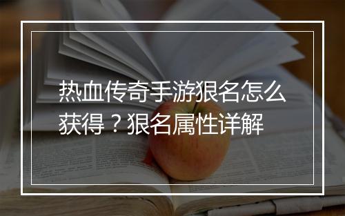 热血传奇手游狠名怎么获得？狠名属性详解