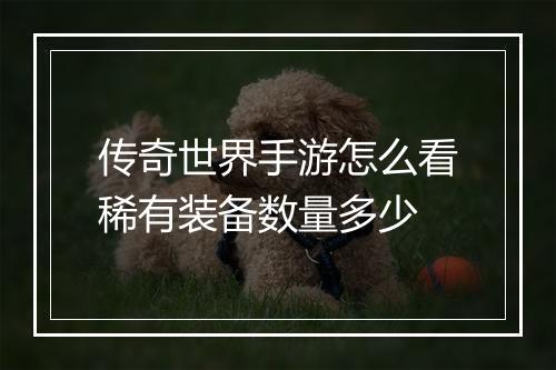 传奇世界手游怎么看稀有装备数量多少