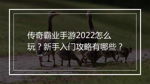 传奇霸业手游2022怎么玩？新手入门攻略有哪些？