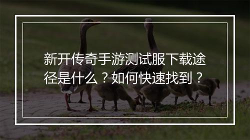 新开传奇手游测试服下载途径是什么？如何快速找到？