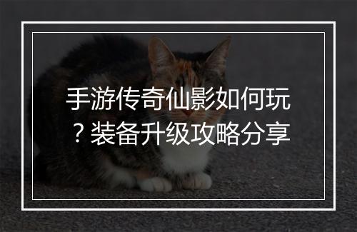 手游传奇仙影如何玩？装备升级攻略分享